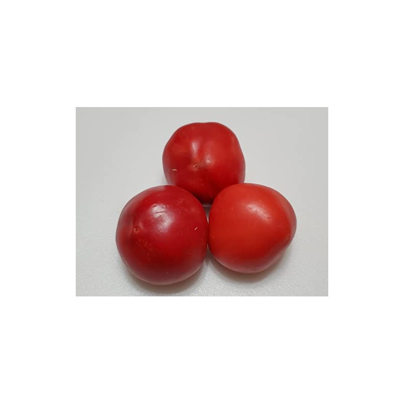 Alma Paprika Pepper Seeds-20+ Seeds