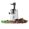 Omega Juicer Cold Press 365 Vertical 65 RPM Slow Masticating