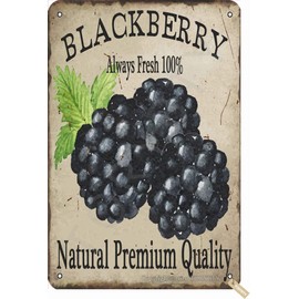 Magqipie BlackBerry Always Fresh 100% Natural Premium Quality Retro Look Tin 8X12 Inch Decoration Art Sign for Home Kitchen Bathroom Farm Garden Garage Inspirational Quotes Wall Decor