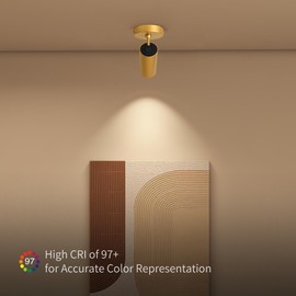 Aisilan 9W LED Gold Directional Dimmable Ceiling Spotlight Indoor, Anti-Glare Adjustable Angle Wired Spot Light for Picture, Bedroom and Kitchen - Warm Light 3000K, CRI 97 Flicker-Free