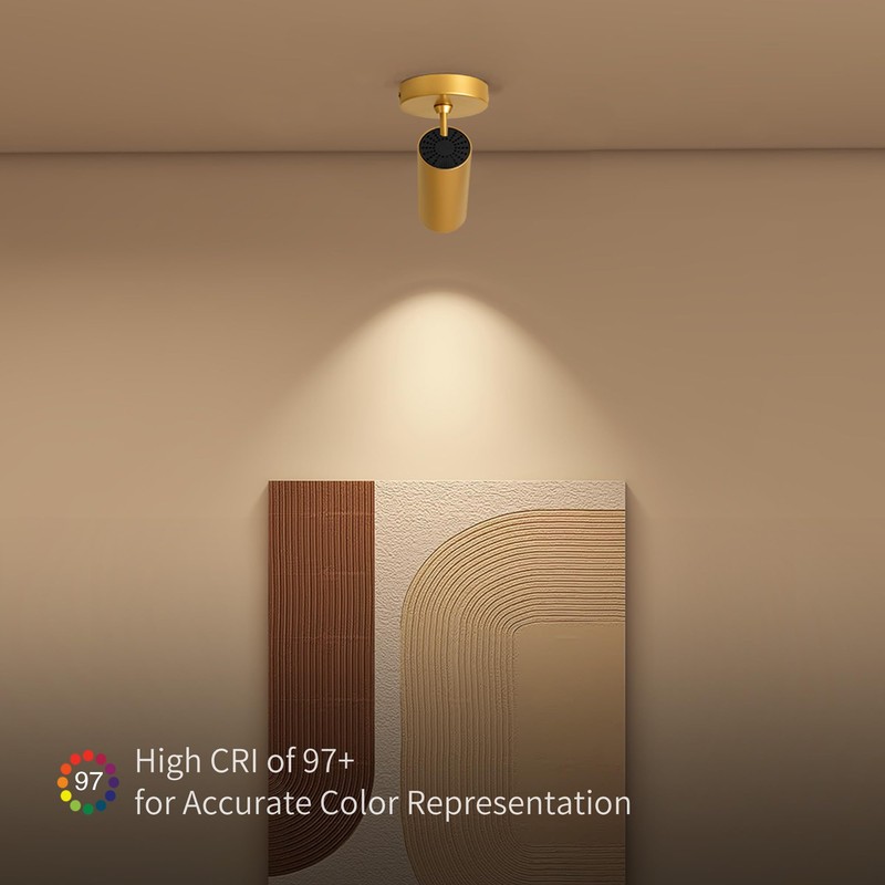 Aisilan 9W LED Gold Directional Dimmable Ceiling Spotlight Indoor, Anti-Glare