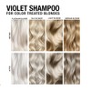 Pure Blends Hydrating Color Depositing Shampoo, Violet, White, Gray and