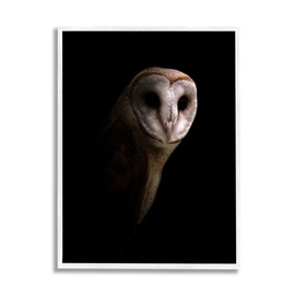 Stupell Industries Beautiful Intense Barn Owl Black Shadow Photography Portrait,Design by Incado