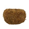 Esschert Kokedama Moss Ball L Diameter 19.8 cm