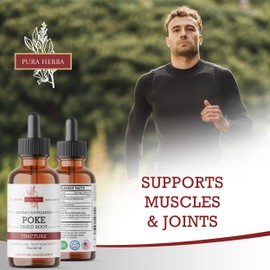 Organic Poke Root Tincture | Poke Root Extract Liquid | Herbal Supplement for Immune Support & Lymphatic Health | Vegan | Alcohol-Free | Non-GMO | Made in USA | 2 Fl Oz