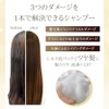 Zephyram Shampoo 16.9 fl oz (500 ml)