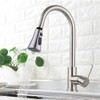 Kitchen Fittings, Replacement Shower Head for Kitchen Sink Tap, Dish