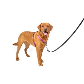 PetSafe 3 in 1 Dog Harness - No Pull Solution for Dogs - Reflective Dog Harness - Front D-Ring Clip Helps Stop Pulling - Comfortable Padded Straps - Top Handle Enhances Control - Plum - Large