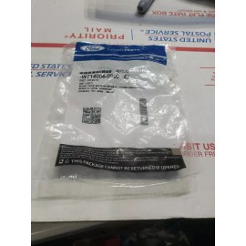 FORD 09-23 Flex Explorer Bronco  MOLDING, W714004-S900 Pack Of 4 Blond Rivet