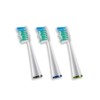 Waterpik Standard Brush Heads, Replacement Tooth Brush Heads For Former