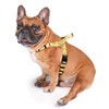 iChoue Dog Harness Easy On and Off Front Back 2