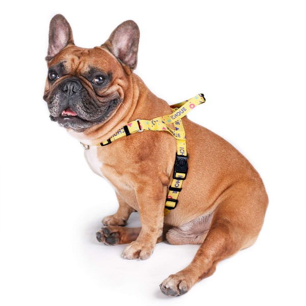 iChoue Dog Harness Easy On and Off Front Back 2