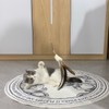 MikiLim Replacement Strings for Cat Wand Toy - 4 PCS