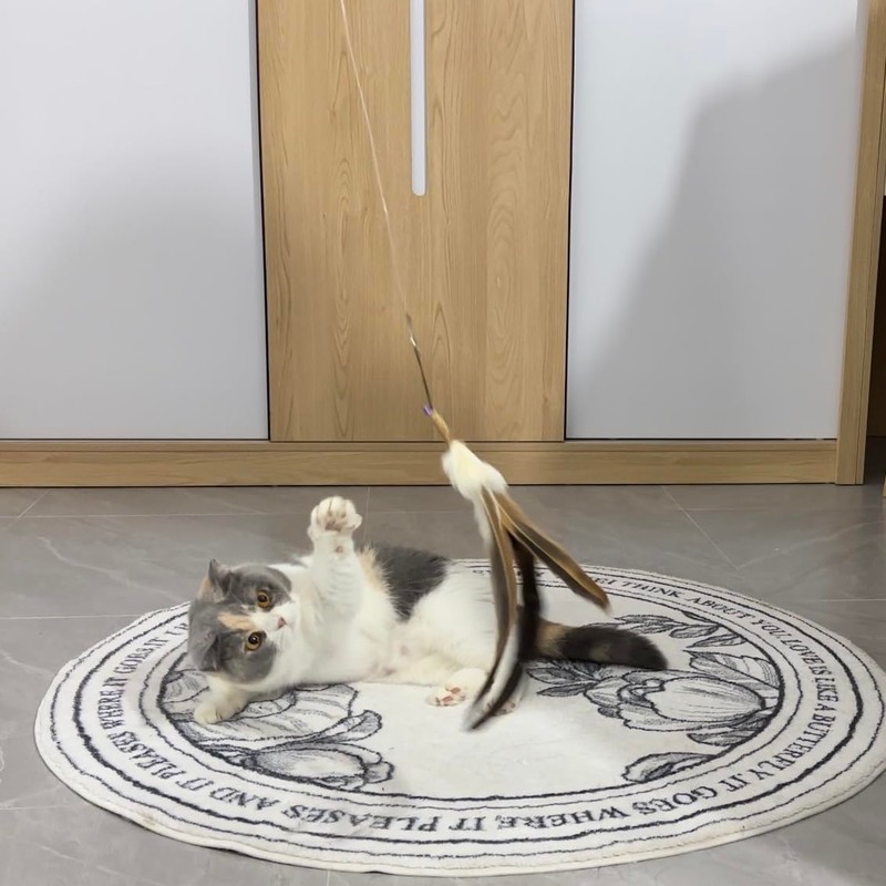 MikiLim Replacement Strings for Cat Wand Toy - 4 PCS