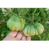 Zapotec Pleated Heirloom Tomato 10 Seeds