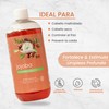 Shampoo Con Aceite De Jojoba Regenerador Productos Mart Mexico 500
