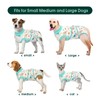 Kuoser Recovery Suit for Dogs Cats After Surgery, Professional Pet