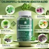 Rootzen 100mg High Concentration Chlorophyll Gummies | Revitalize Skin +