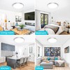 libtit 12 inch Flush Mount LED Ceiling Light Fixture, 3000K