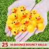 25 Bouncy Balls for Kids Party Favors | Ducks Bouncy