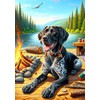 German Shorthair Pointer Black - Best of Breed DCR Summer