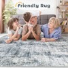 Washable Area Rug 9x12 Living Room Rugs: Abstract Large Rug