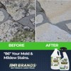 RMR-86 Instant Mold and Mildew Stain Remover Spray - Scrub