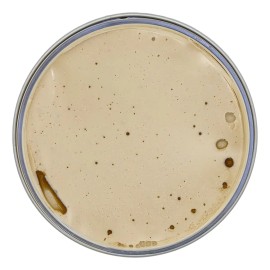 Cera Matte Pomade Uppercut Deluxe 100g