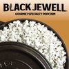 Black Jewell Gourmet Popcorn Kernels, Native Mix, 15 Ounces (Pack