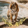 ROMANTIC WORK Tiger Earrings 925 Sterling Silver Gold Plated Tiger