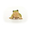 schleich 14882 European Tree Frog, from 3 years WILD LIFE
