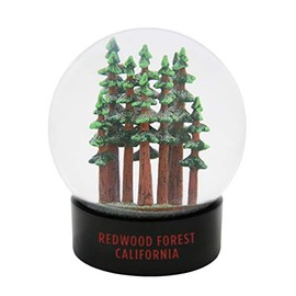 Redwoods California Fog Snow Globe Hand Painted