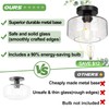 Industrial Semi Flush Mount Ceiling Light, 800 Lumen LED Bulb