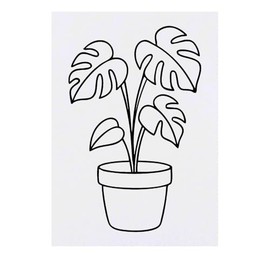 'Cheese Plant' Temporary Tattoo - Water Resistant, Skin-Safe, Non-Toxic Transfer (TO00085579)