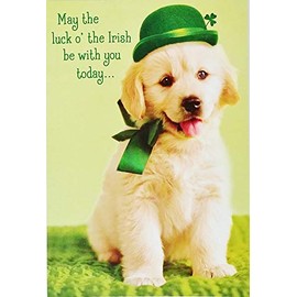 Greeting Card May The Luck of The Irish Be With You Today and May You Be Smiling Happy St. Patrick's Day with Golden Retriever Labrador Puppy Dog