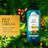 Herbal Essences Shampoo Argan Oil Of Morocco 400 ml
