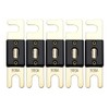 Offgridtec 300A 72V ANL Fuse DIN43560/1 Set of 5