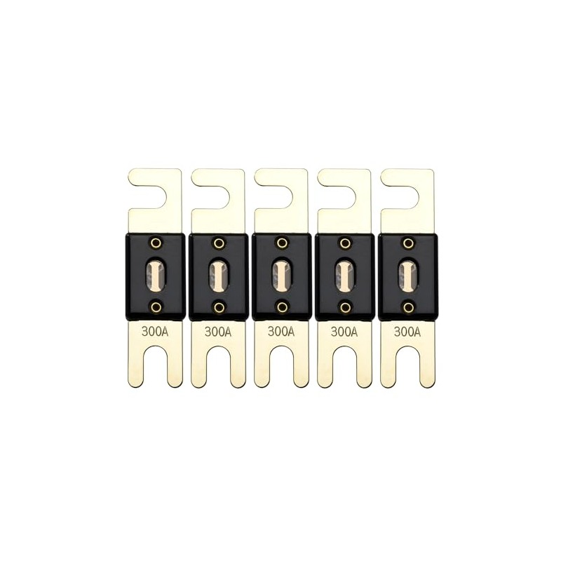 Offgridtec 300A 72V ANL Fuse DIN43560/1 Set of 5
