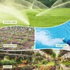 Digital Automatic Watering Timer Programmed Garden Irrigation Timer Hose Faucet