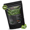 Go Nutra Bacopa Extract Powder (Bacopa Monnieri) 50% Bacosides -
