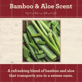 Our Own Candle Company, Bamboo & Aloe Scented Mason Jar Candle, 100 Hour Burn Time, 13 Ounces