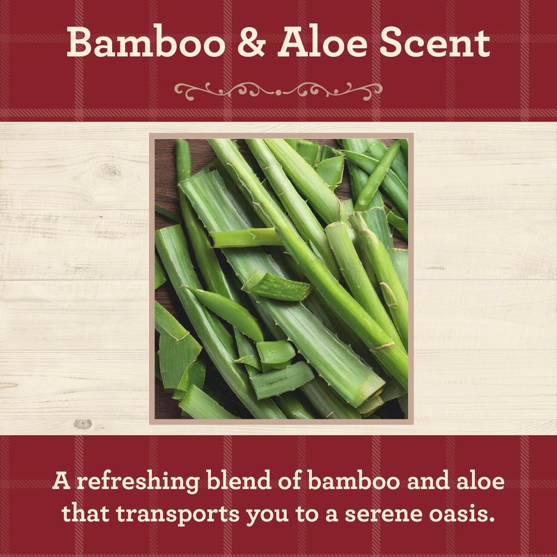 Our Own Candle Company, Bamboo & Aloe Scented Mason Jar