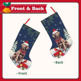MOLAIGIN Merry Christmas Chocolate Labrador lab Santa Dog Retriever 18 Inches Christmas Stocking Classic Large Soft Stockings Santa, Xmas Character for Family Holiday Christmas Party Decor Gifts