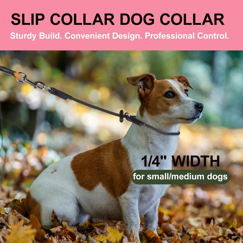 Slip Collar for Small & Medium Dogs, 1/4" Nylon Rope