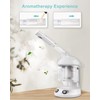 EZBASICS Hair Steamer 2 in 1 Ion Facial Steamer with