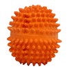 Boss Pet Latex Nubby Ball with Squeaker Dog Toy
