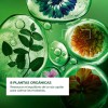 Sérum Equilibrante Cuero Cabelludo + Shampoo Yves Rocher