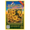 Everwilde Farms - 150 Arrowleaf Balsamroot Native Wildflower Seeds -