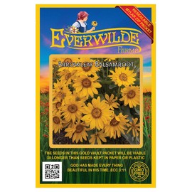 Everwilde Farms - 150 Arrowleaf Balsamroot Native Wildflower Seeds - Gold Vault Jumbo Seed Packet