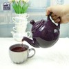 London Pottery Farmhouse Teapot with Infuser, Ceramic, Purple, 2 Cup